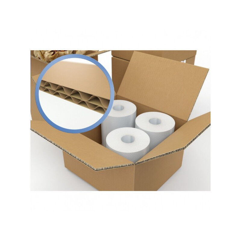 Caisse en carton double ondulation (100x)