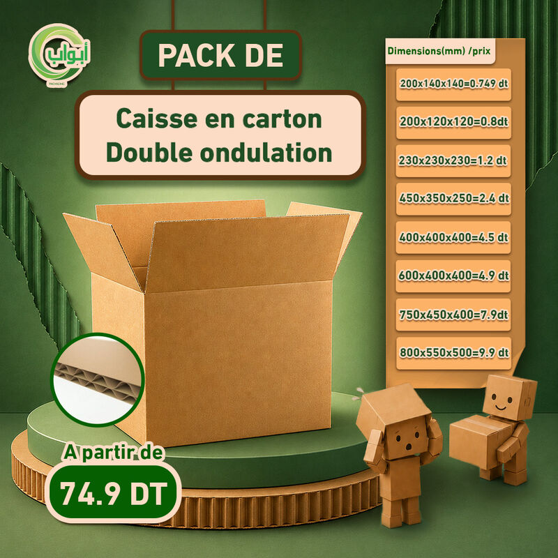 Caisse en carton double ondulation (100x)