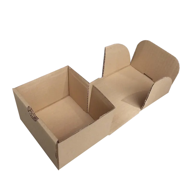 Boites en carton (100x)